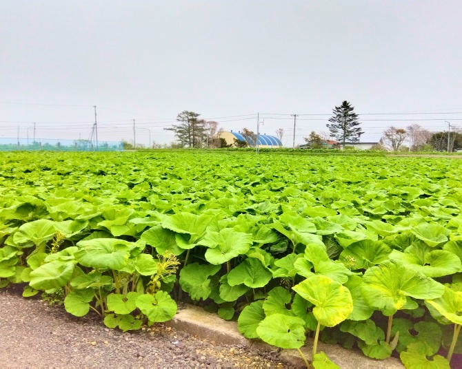 写真4