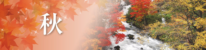 釧路の四季の移ろい（秋）