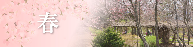 釧路の四季の移ろい（春）